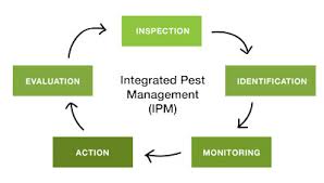 Integrated pest management